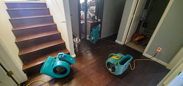 Best Mold removal after water damage  in Cosmopolis, WA