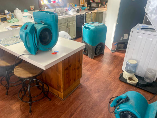 Best Fire Damage Restoration  in Cosmopolis, WA