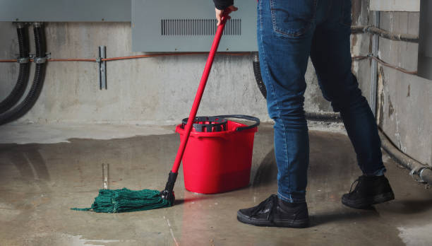 Best Flooded house restoration  in Cosmopolis, WA