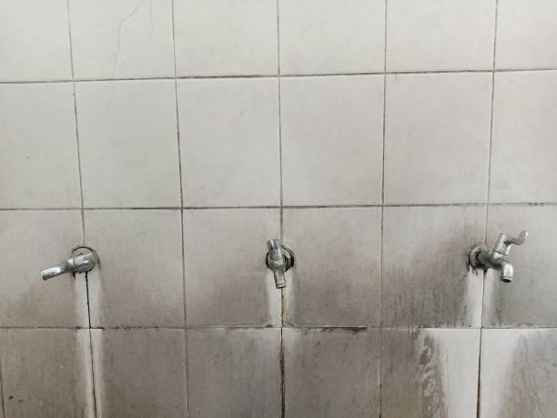 Reliable Cosmopolis, WA Water damage restoration Solutions
