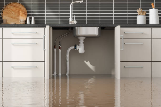  Cosmopolis, WA Water damage restoration Pros