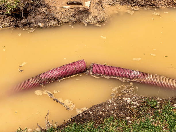 Best Water damage contractors near me  in Cosmopolis, WA