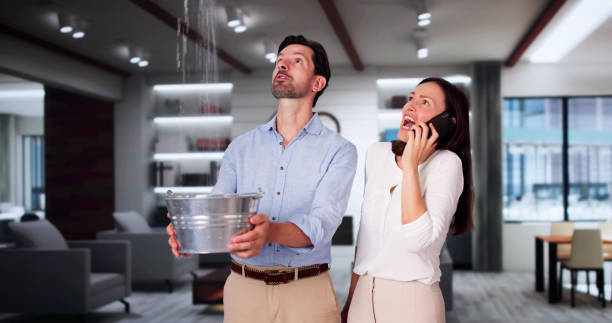 Best Water damage restoration near me  in Cosmopolis, WA